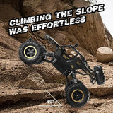 RockForce 4WD RC Crawler – 3 Batteries