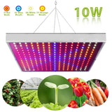 BloomRay 225 Full Spectrum Grow Light